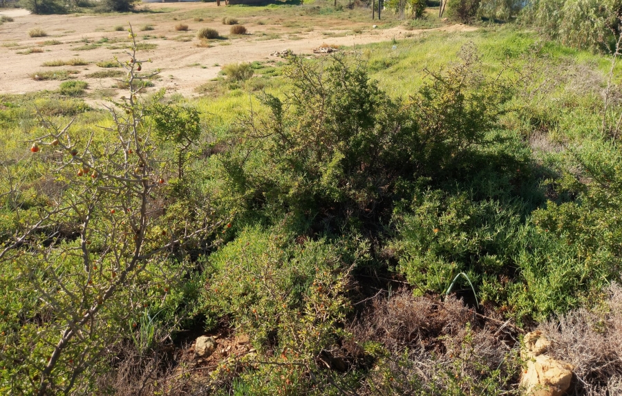 0 Bedroom Property for Sale in Uniondale Western Cape
